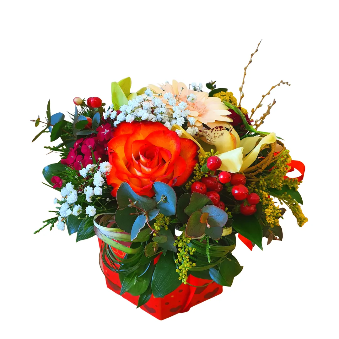 Razigrani flower box 1 Razigrani flower box